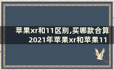 苹果xr和11区别,买哪款合算 2021年苹果xr和苹果11哪个值得买